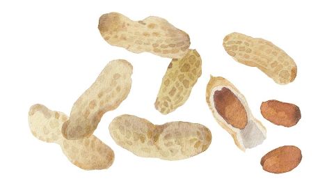 Arašidový olej
