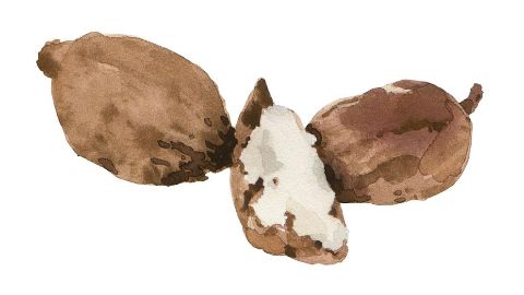 Bambucké maslo