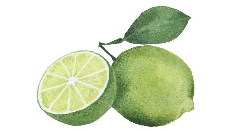 Limetovej olej