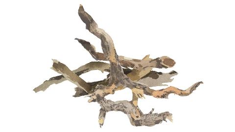 Extrakt koreňa krameria triandra