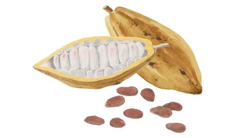 Kakaové maslo