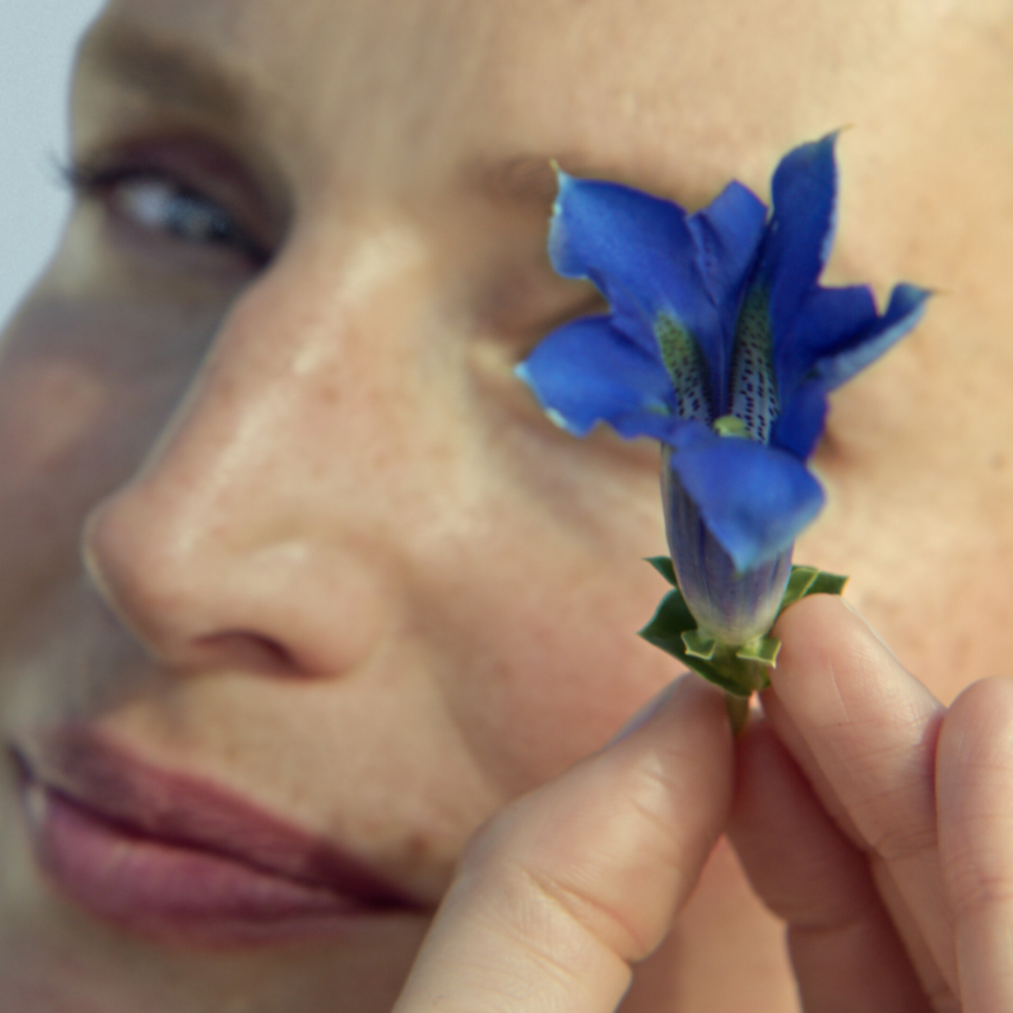 žena ukazuje kvet modrého horca