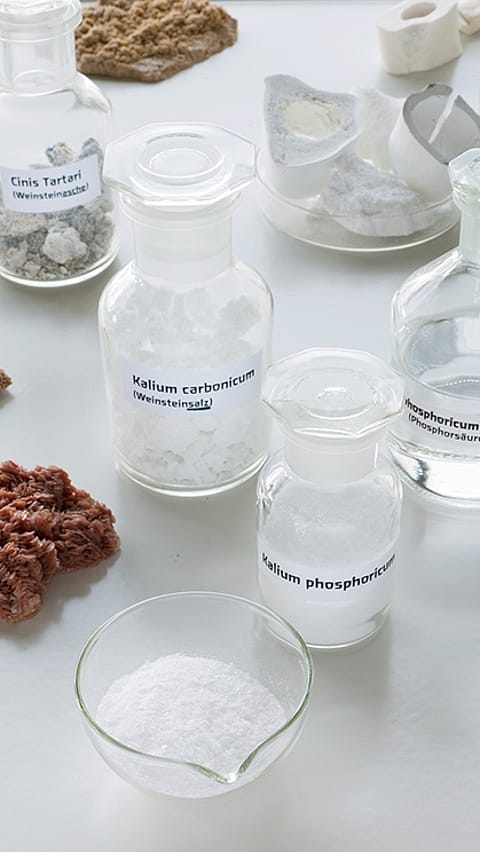 Detailný pohľad na antropozofickú medicínu Weleda – rozhovor o holistickom prístupe k zdraviu, prepojení tela, mysle a ducha a sile prírody pri vývoji liekov a prírodnej starostlivosti.