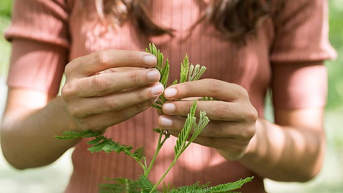 Close-up of a woman holding a green plant.