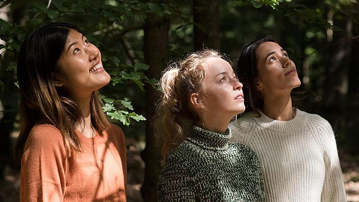Three woman standing next to each other in a forest are looking up into the sunlight