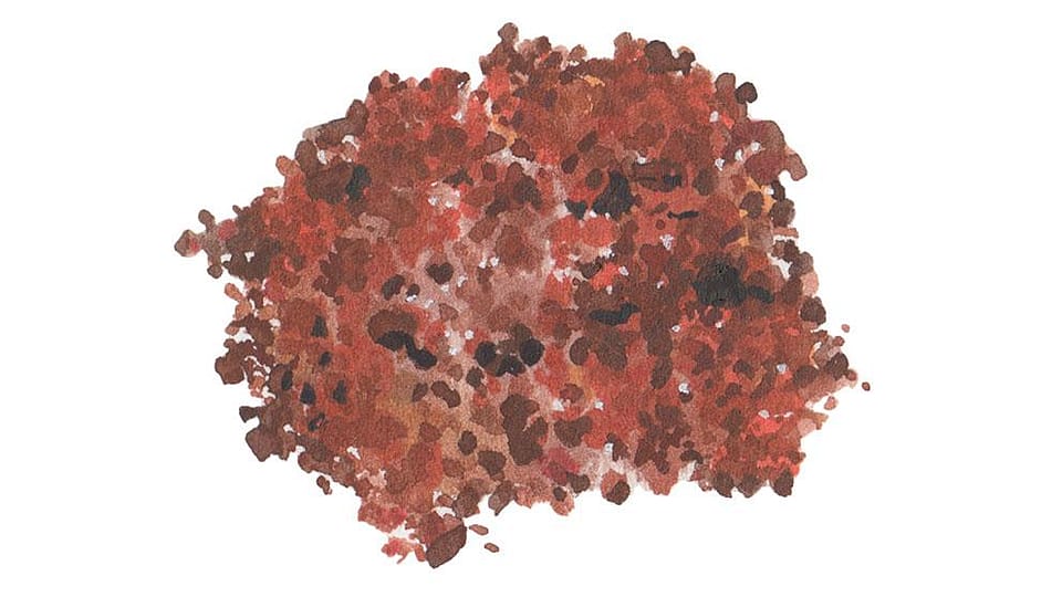 Iron Oxides (CI 77491)