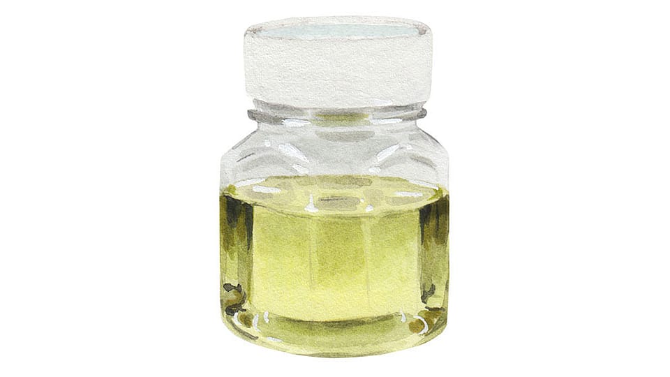 Rose Flower Oil/Extract